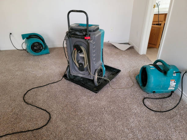 Best 24/7 water damage repair  in Fulton, MS