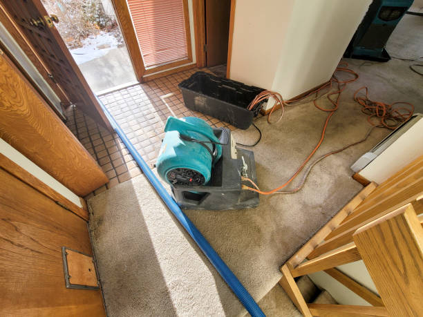 Best 24/7 water damage repair  in Fulton, MS