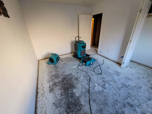 Best Ceiling water damage repair  in Fulton, MS