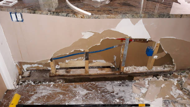 Best Mold removal after water damage  in Fulton, MS