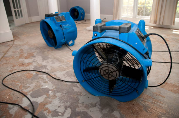 Best Sewage cleanup and water damage restoration  in Fulton, MS