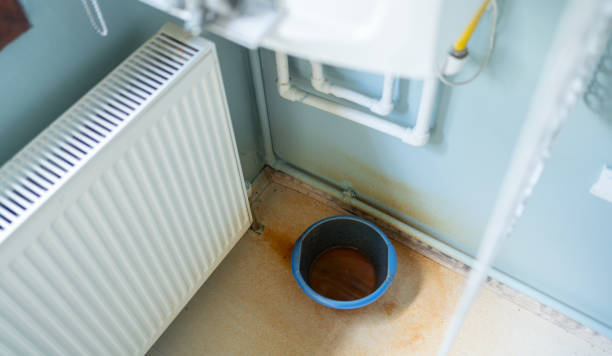 Best Water damage mitigation services  in Fulton, MS