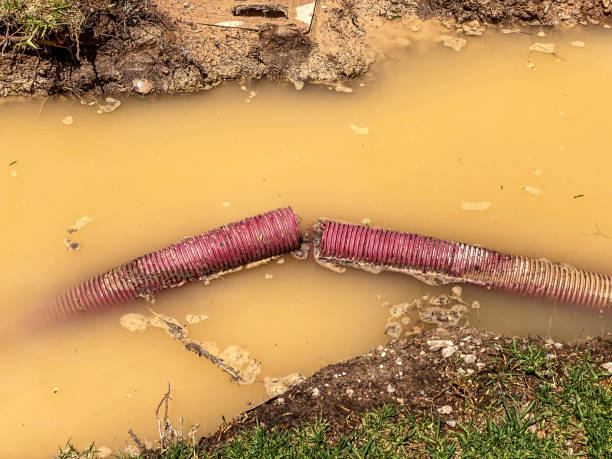 Best Emergency water extraction  in Fulton, MS