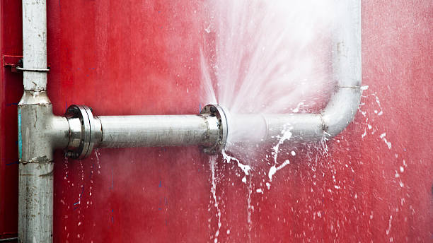 Best Professional water damage repair  in Fulton, MS